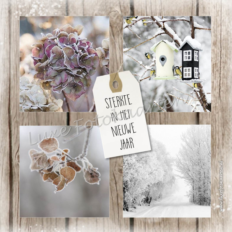 Sterkte nieuwe jaar - 4 luik